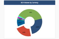 BCH Markets＆Infrastructure Roundup：空中达观